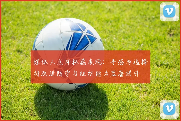 媒体人点评林葳表现：手感与选择待改进防守与组织能力显著提升