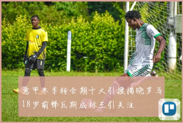 意甲冬季转会期十大引援揭晓罗马18岁前锋瓦斯成标王引关注