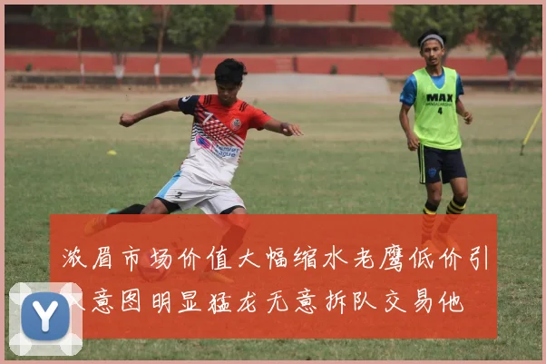 浓眉市场价值大幅缩水老鹰低价引入意图明显猛龙无意拆队交易他